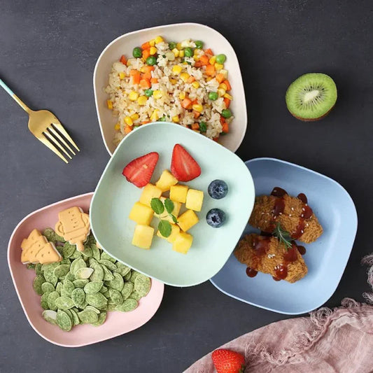 2Pcs Small Plates, Kitchen Accessries 